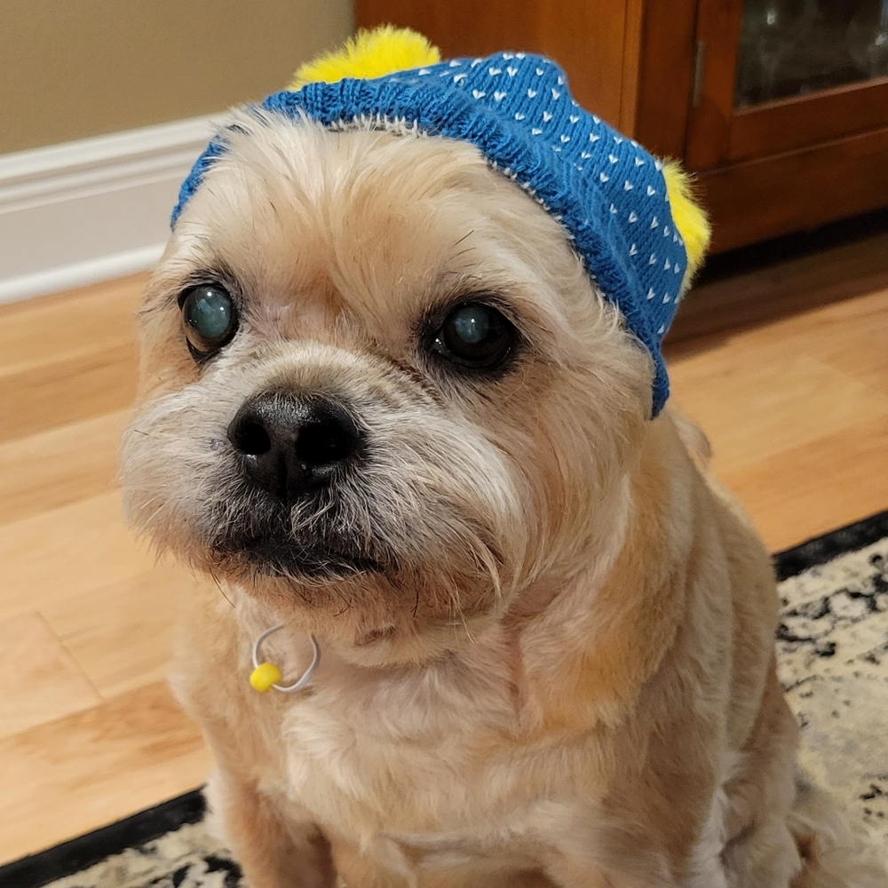 Host Pick 🥰🐶❤ Matching Knit Beanie Hats